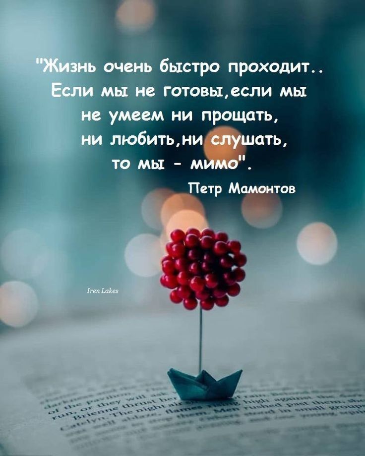 наро проходит готовысли мы ни прощать