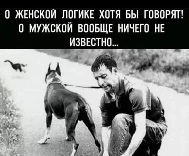 О ЖЕНСКОЙ ЛОГИКЕ ХОТЯ БЫ ГОВОРЯТ О МУЖСКОЙ ВООБЩЕ НИЧЕГО НЕ ИЗВЕСТНО д 10