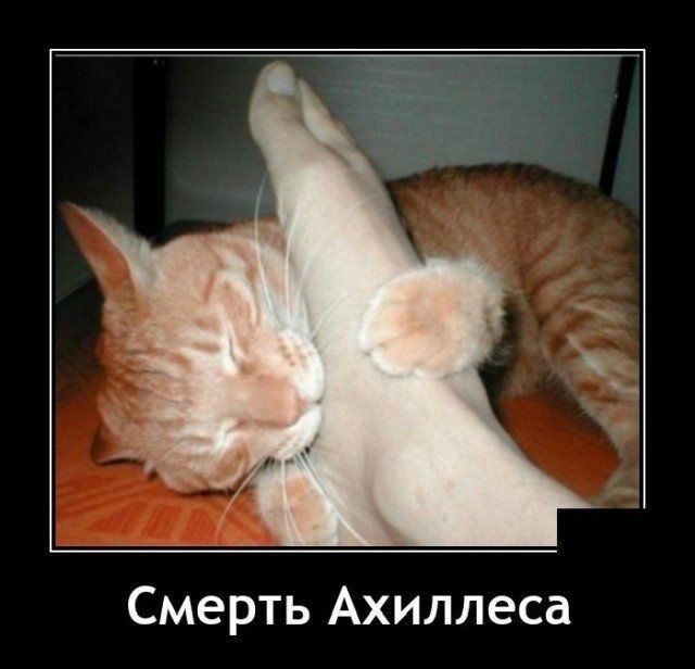 Смерть Ахиллеса