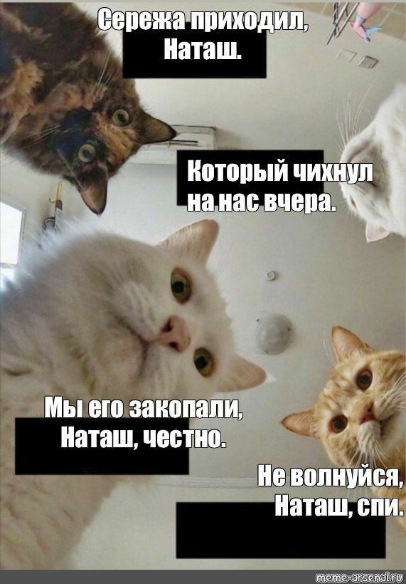 А _ в д ы ю Наташ част Щ ЙА ШЩтШШЁЩ