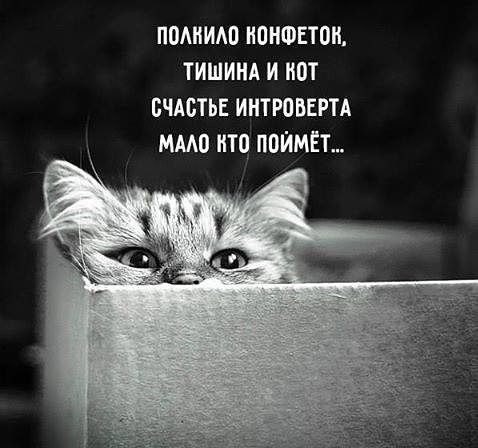 П0ИИ0 ИОНФЕЮИ ТИШИНА И от БЧАБТЬЕ ИИТРОБЕРТА МАМ ИТЦ ППЙМЕЪ
