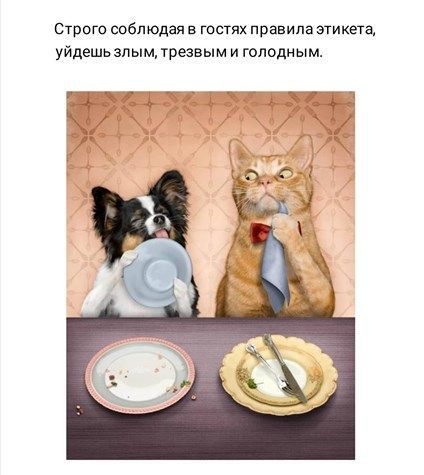 Строго соблюдая в гостях правила этикета уйдешь злым трезвым и голодным ТЬг __уд_