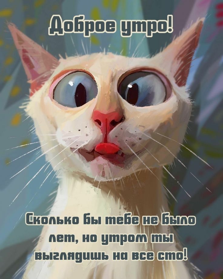 Й лет но нтР