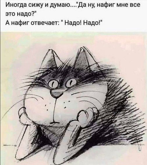 Иногда сижу и думаю это надо А нафиг отвечает Надо Надо а ну нафиг мне все