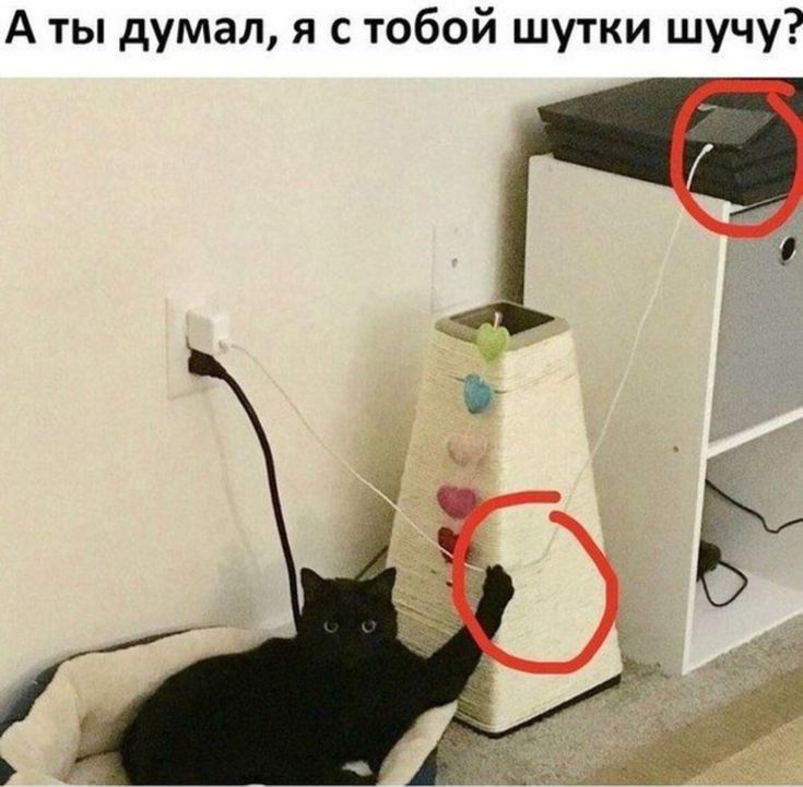 А ты думал я с тобой шутки шучу г
