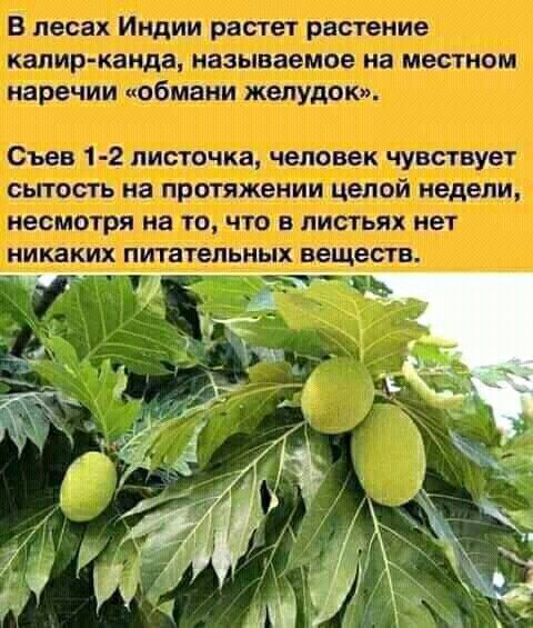 щъввШидЩчъЫ та заглавии катана ПГ чаащипщ іажппппх д шзігёэшыш шантажу аалЕицъы щашщгаіг і НС аш нищета чп тишина АЩШ Й