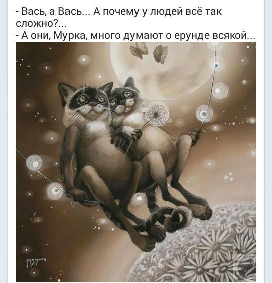 Вась 3 Весь А почему у людей все так СЛПЖНО А они Мурка много думают ерунде всякой