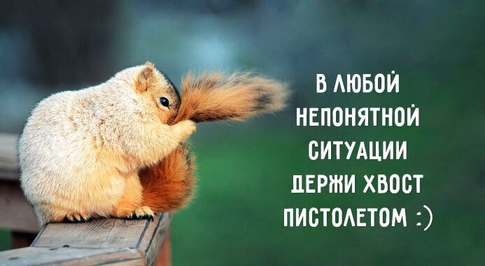 в АЮБПИ НЕПОНЯТНПИ СИТУАЦИИ ПЕРМИ хвост ПИБТПАЕТПМ