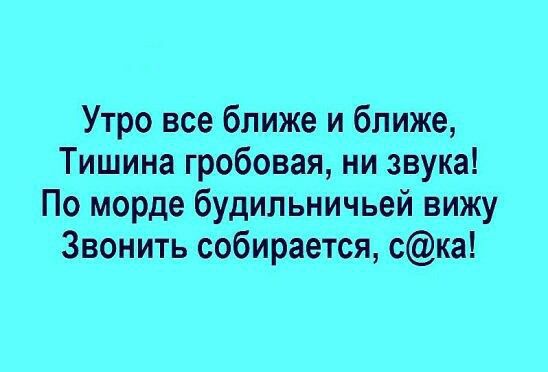 Утро все ближе и ближе Тишина гробовая ни звука По морде будильничьей вижу Звонить собирается ска