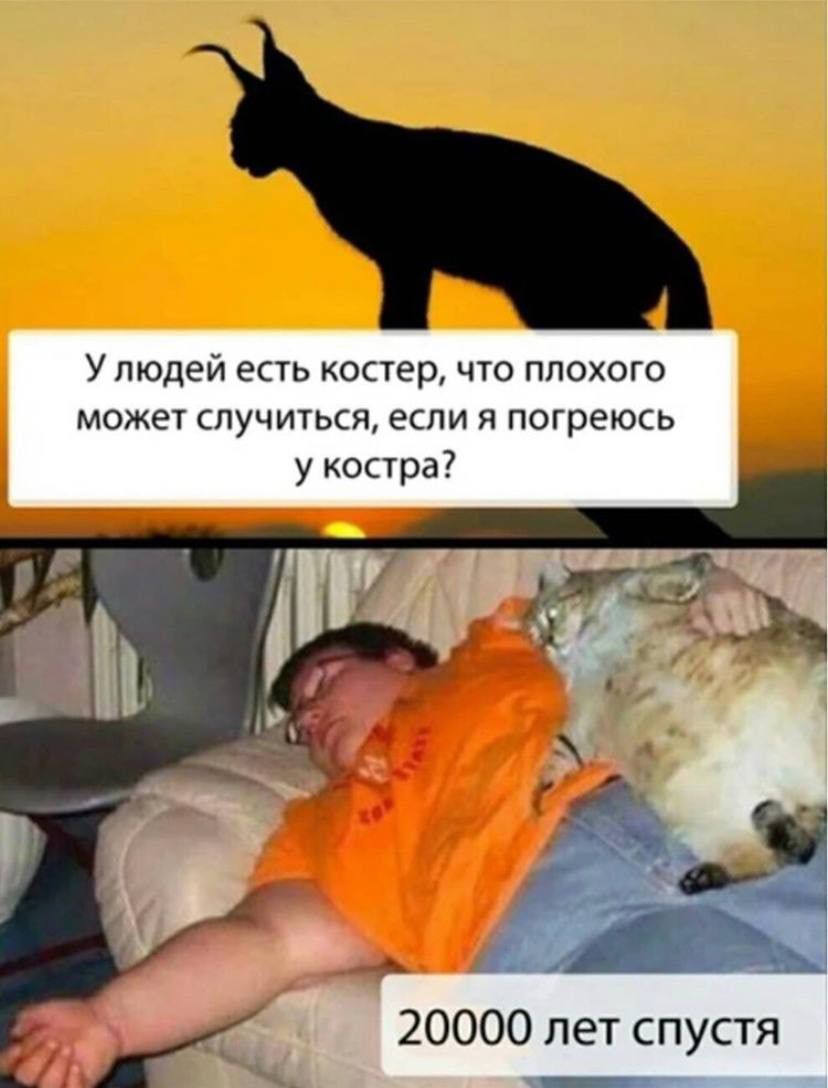 У людей есть косгер что плохого может случиться если я погреюсь у костра 20000 лет спустя