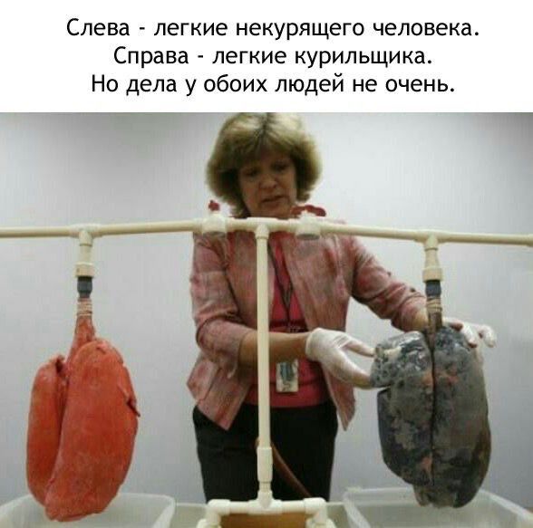 Слева легкие некурящего человека Справа легкие курильщика Но дела у обоих людей не очень