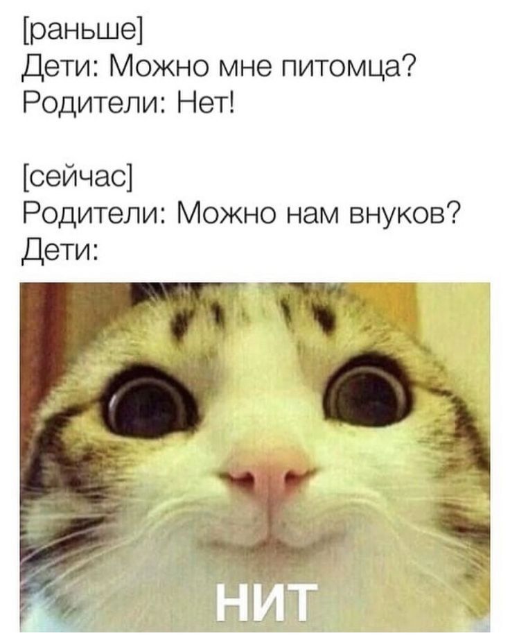 раньше Дети Можно мне питомца Родители Нет сейчас Родители Можно нам внуков Дети