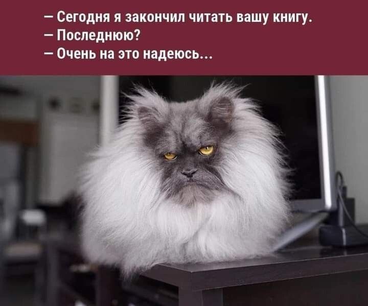 Сегодня я закончил читать ишу книгу Последнюю Очень иа шт надеюсь