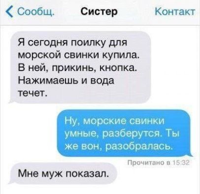 Сообщ Систер Контакт Я сегодня поилку для морской свинки купила В ней прикинь кнопки Нажимаешь и вода течет Прочитано 5 Мне муж показал