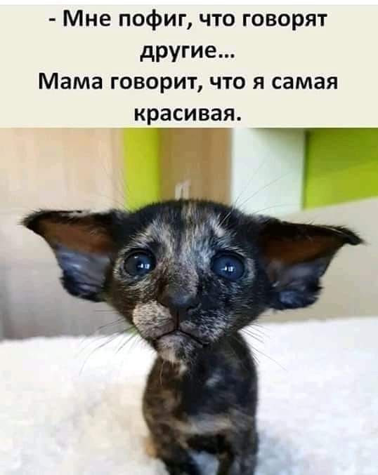 Мне пофиг что говорят другие Мама говорит что я самая красивая