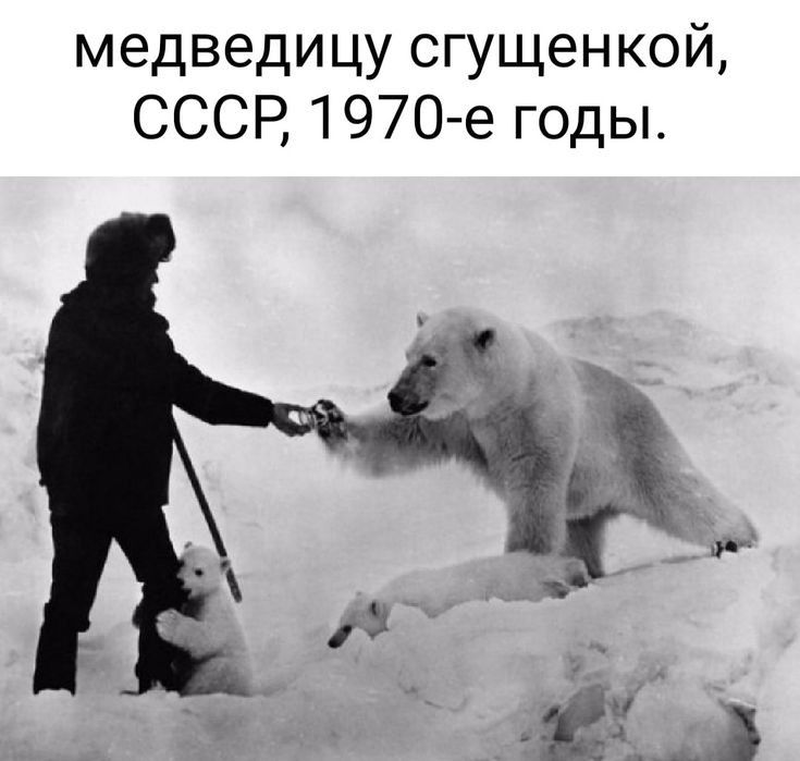 медведицу сгущенкой СССР 1970 е годы
