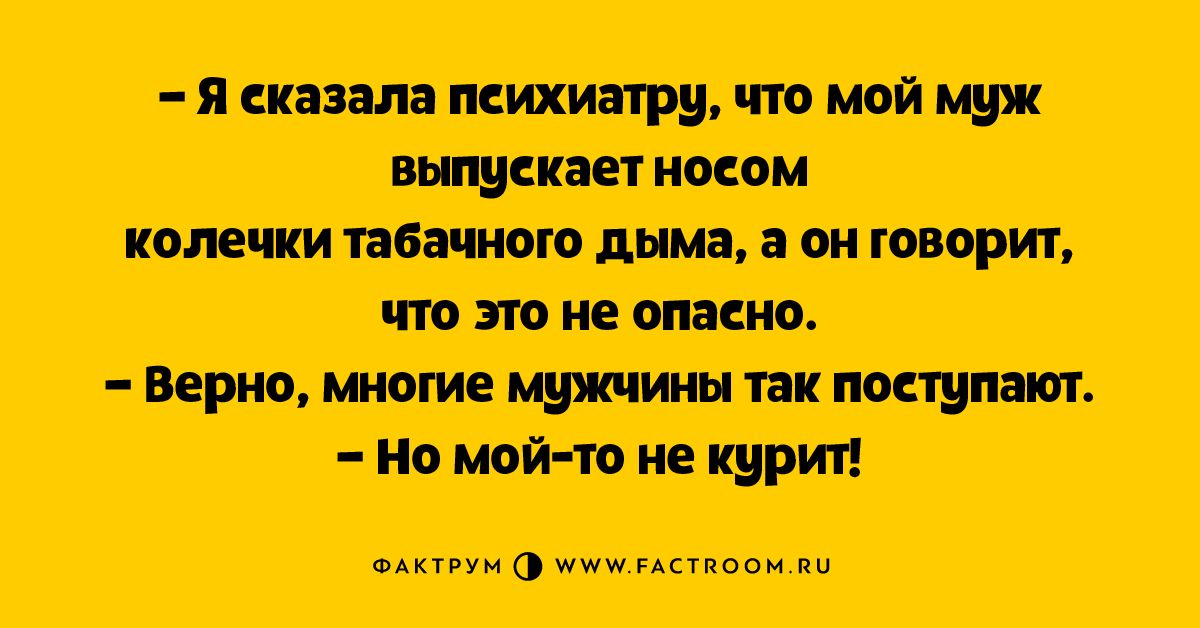 чт пани ттти ___в м шпица шт