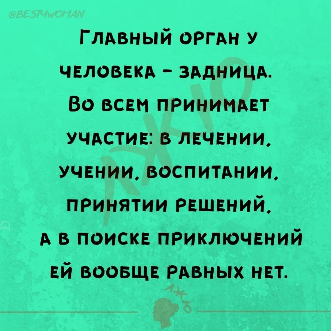 Глдвный ОРГАН у чнловвкд зддниця Во всви ПРИНИМАЕТ учдстив в лечении учнии воспитднии принятии решений А в поиск приключвний Ей воовщв Рввных нет