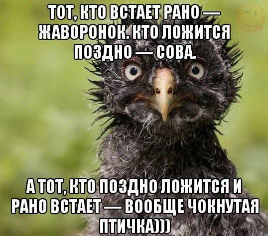 Т0Т НТП ВБТАЕТ ЕАН0 ЖАВП РНПИИТП ЛЕЖИТВП А ТПТ Тб ПОЗДНП ЛПЖИТБЯ И РАН0 ВВТАЕТ ВПОБЩЕ ЧШНШТАП _ ъПТИЧНАПЬ