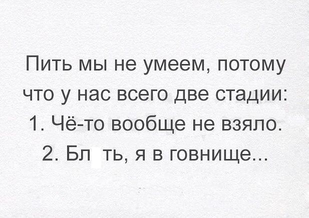 Пить мы не умеем потому что у нас всего две стадии 1 Чёто вообще не взяло 2 Бл ть я в говнище