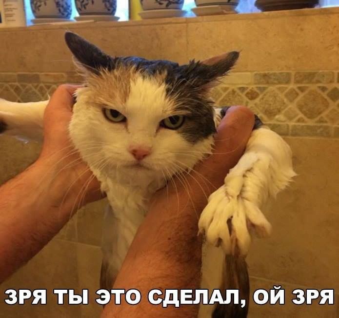 ЗРЯ ТЫ ЭТО СДЕЛАЛ ОЙ ЗРЯ