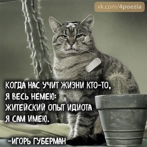 _ Ё ірепіа КОГЩНМ УЧИТ ЖИЗНИ КТО Т я ввсь немею ЖИГЕЙСКИИ ОПЫТ идиота д ясшимвю і _ЬЁ гогь диам