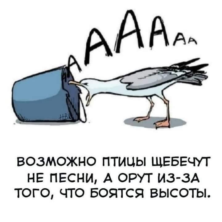 АА ААА ВОЗМОЖНО ПТИЦЫ ЩЕБЕЧУТ НЕ ПЕСНИ А ОРУТ из зА ТОГО ЧТО БОЯТСЯ ВЫСОТЫ