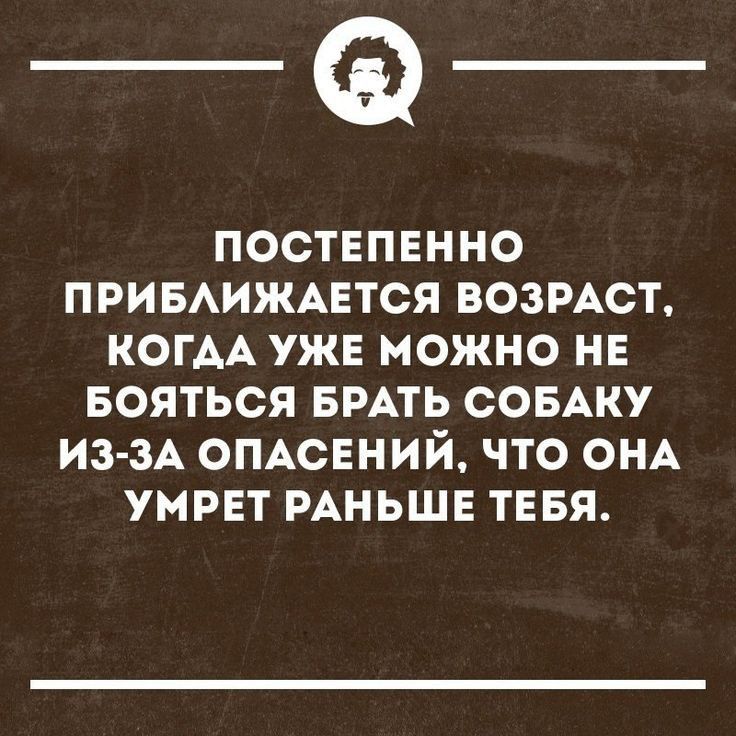 Боюсь брать. Старость приближается. А между тем старость приближается. Как узнать что приближается старость приколы.