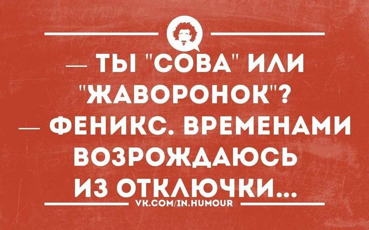 _ ТЫ СОВА ИАИ ЖАВОРОНОК _ ФЕНИКС ВРЕМЕНАМИ ВОЗРОЖААЮСЬ ИЗ ОТКАЮЧКИ шеви хи нииапл
