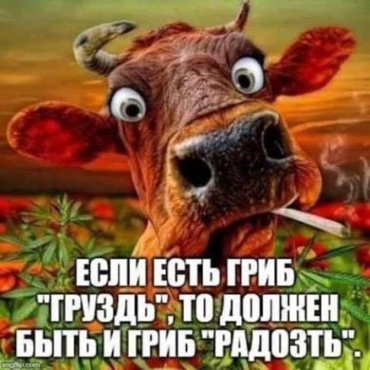 д Ест ЕСТЬ ПИБ ГПЗДЬ то ШШШ _Б_ПЪ И ПИБ д