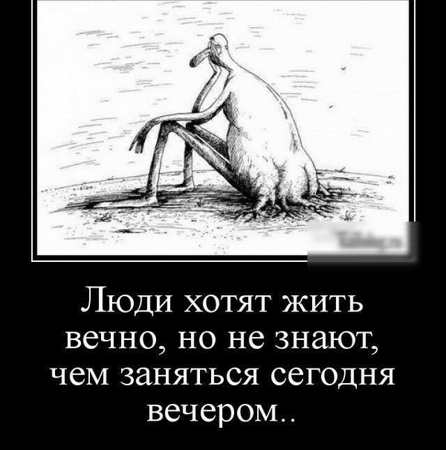 Люди хотят жить вечно но не знают чем заняться сегодня вечером