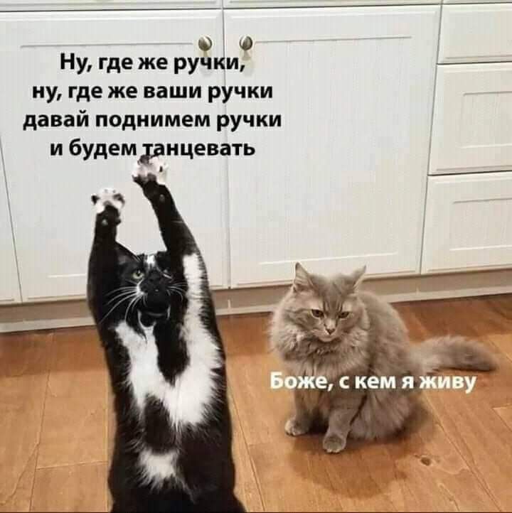 0 Ну где же ручки ну где же наши ручки давай поднимем ручки и будем рицевать