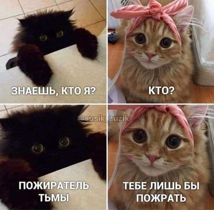 ТЕБЕ ДИШБ БЫ ПОЖРАТЬ