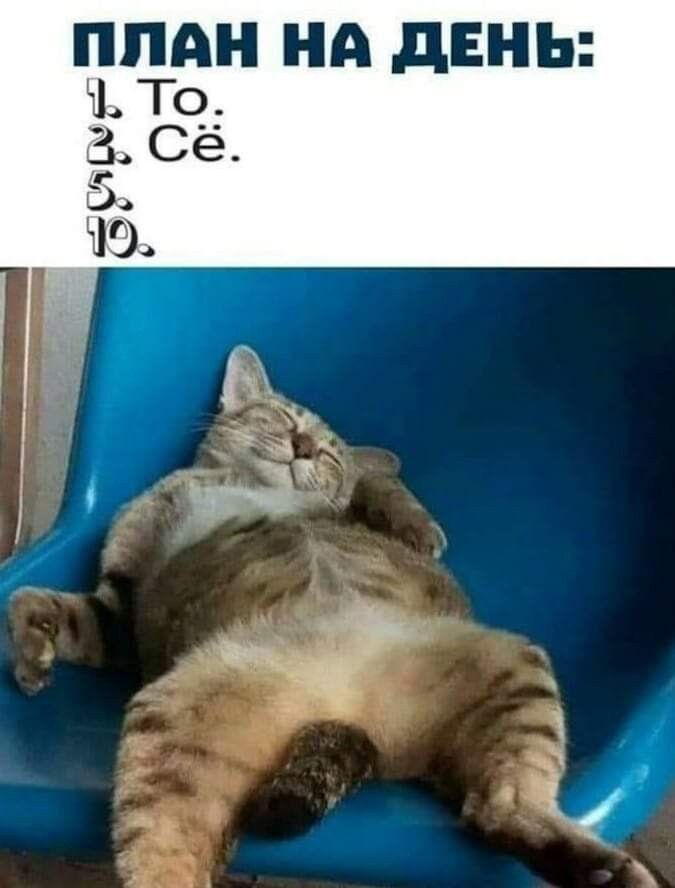 ППАН НА дЕНЬ Ні То