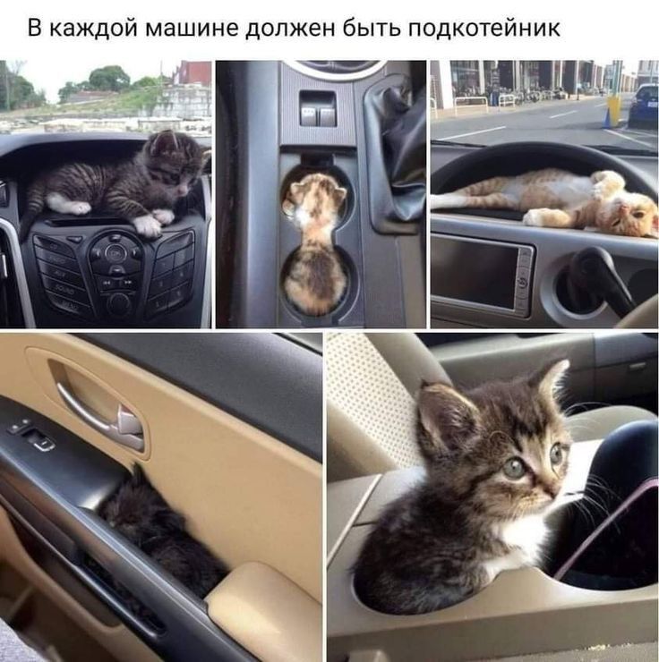 В каждой машине должен быть подкогейник