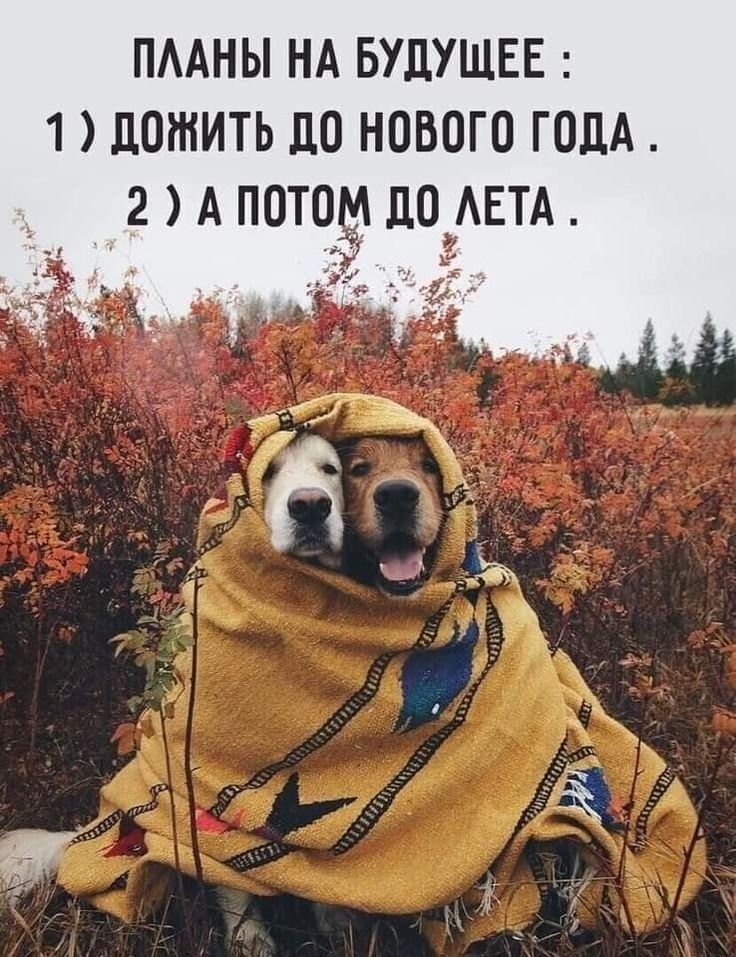 ПААНЫ НА БУДУЩЕЕ 1 ЛОШИТЬ ЛО НОВОГО ГОДА 2 А ПОТОм ЛО АЕТА А _д М