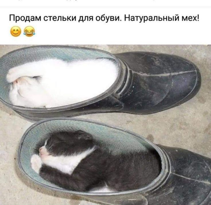 Продам стельки для обуви Натуральный мех