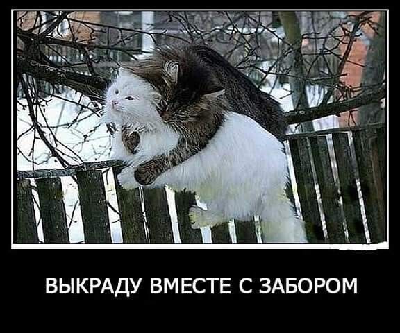 ВЫКРАДУ ВМЕСТЕ С ЗАБОРОМ