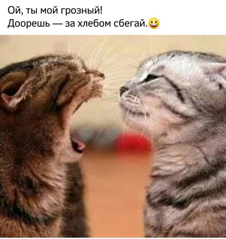 Ой ты мой грозный Доорешь _ за хлебом сбегайе