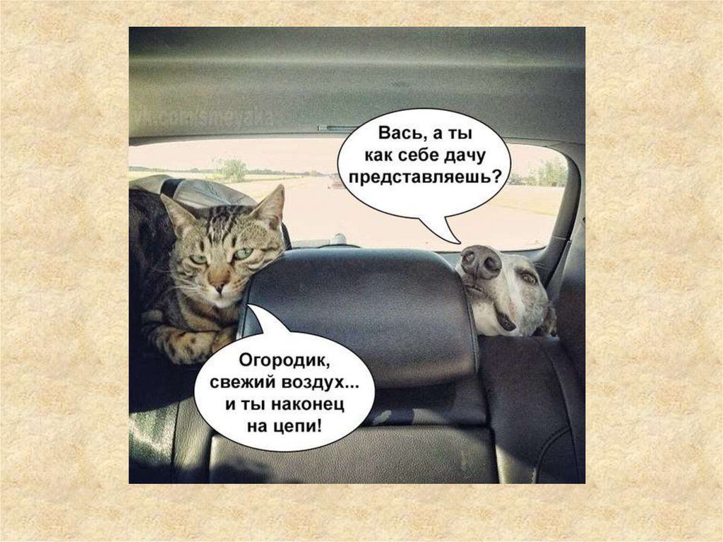сти свежииихдух ижц шем _ _