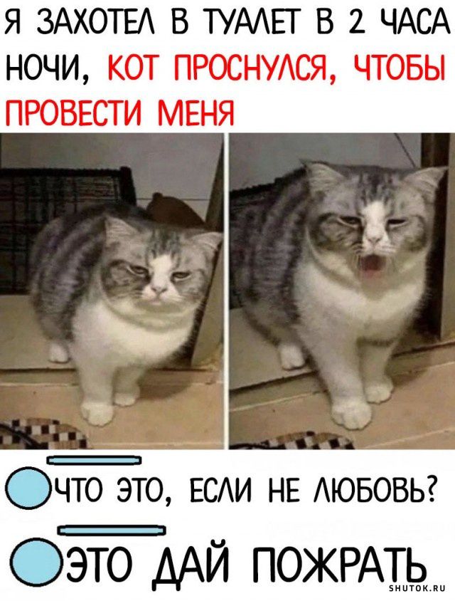 Я ЗАХОТЕА В ТУААЕТ В 2 ЧАСА НОЧИ КОТ ПРОСНУАСЯ ЧТОБЫ ПРОВЕСТИ МЕНЯ в х ОЧТО ЭТО ЕСАИ НЕ АЮБОВЬ Оэто ААЙ ПОЖРА_