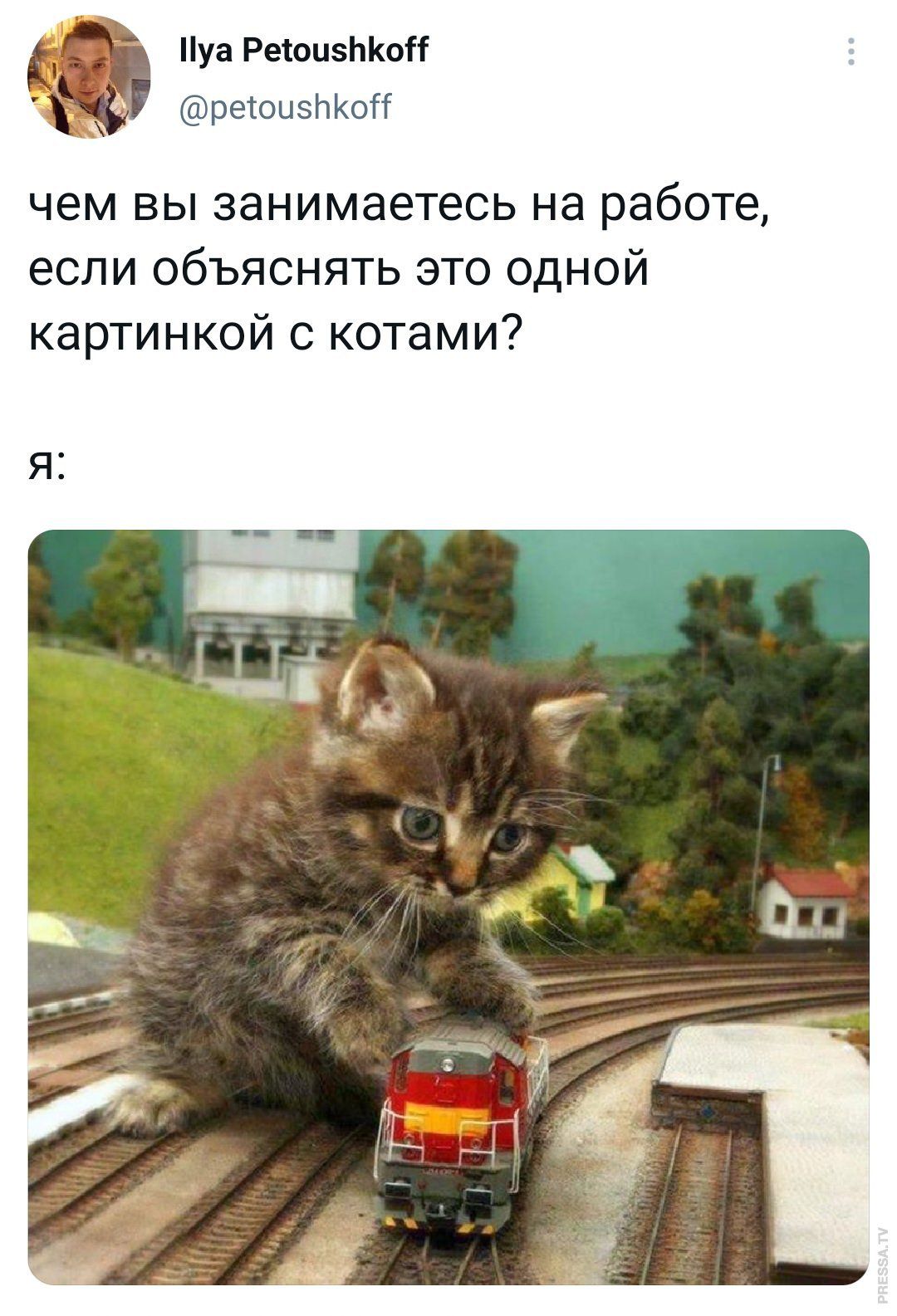 Пун РашпзЬКоН реюызнкыг чем вы занимаетесь на работе если объяснять это одной картинкой с котами