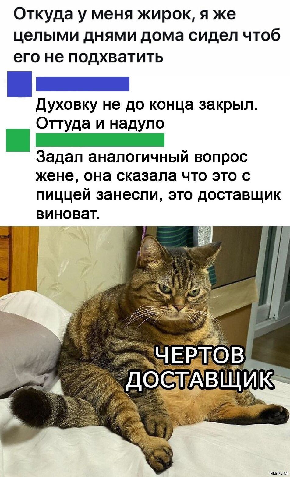 Откуда у меня жирок я же целыми днями дома сидел чтоб его не подхватить _ дУХОВКУ не ДО конца закрыл Оттуда и надуло _ Задап аналогичный вопрос жене она сказала что это с пиццей занесли это доставщик виноват 1
