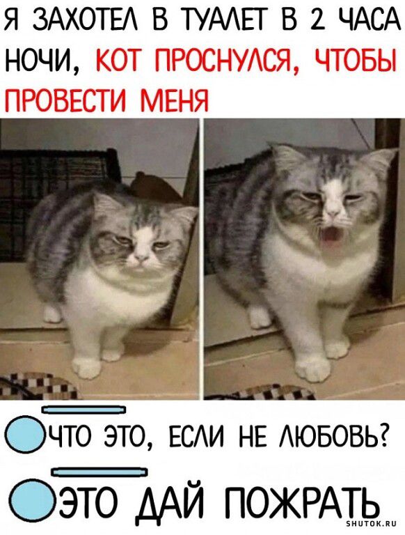 Я ЗАХОТЕА В ТУААЕТ В 2 ЧАСА НОЧИ КОТ ПРОСНУАСЯ ЧТОБЫ ПРОВЕСТИ МЕНЯ А г ОЧТО ЭТО ЕСАИ НЕ АЮБОВЬ Оэто ААЙ поРАть___