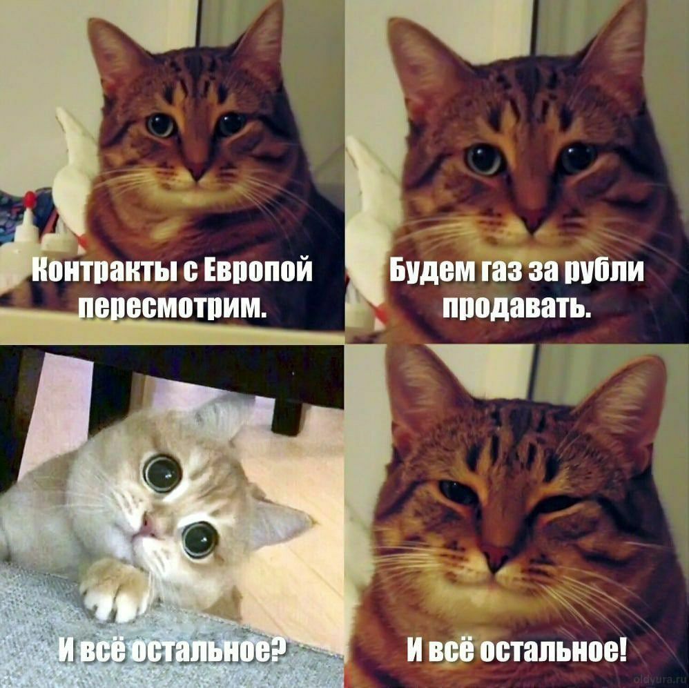 питпктысипипой Биши за ними прошить и шипами