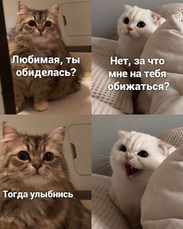 ТПюбимая ты _ обиделась