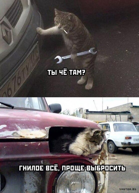 л ТЫ ЧЁ ТАМ знотожяы