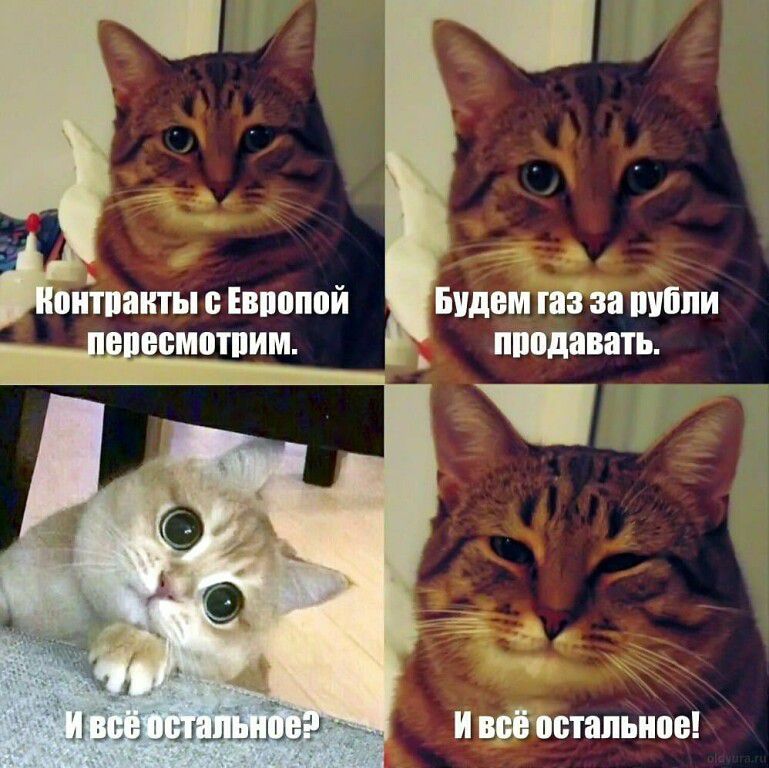 Мйинт пивной Билан ш пиши питии продлить и щитами