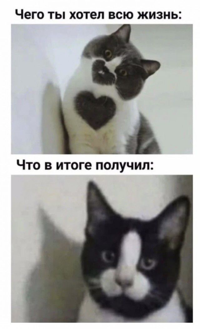 ЧЕГО ТЫ ХОТЕЛ ВСЮ ЖИЗНЬ ЧТО В итоге ПОЛУЧИЛ