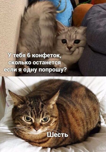 Аебя 6 коифетчк опько остаиёіся я одну попрошу